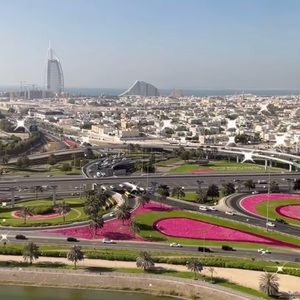 Meet your Posher, Rabia